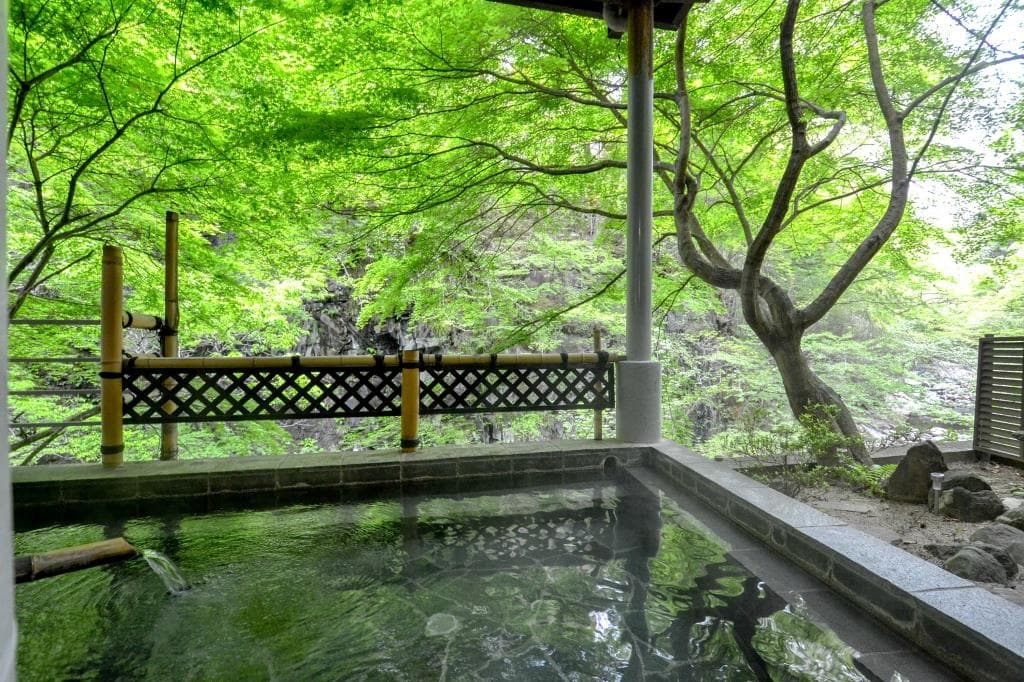 白神の湯