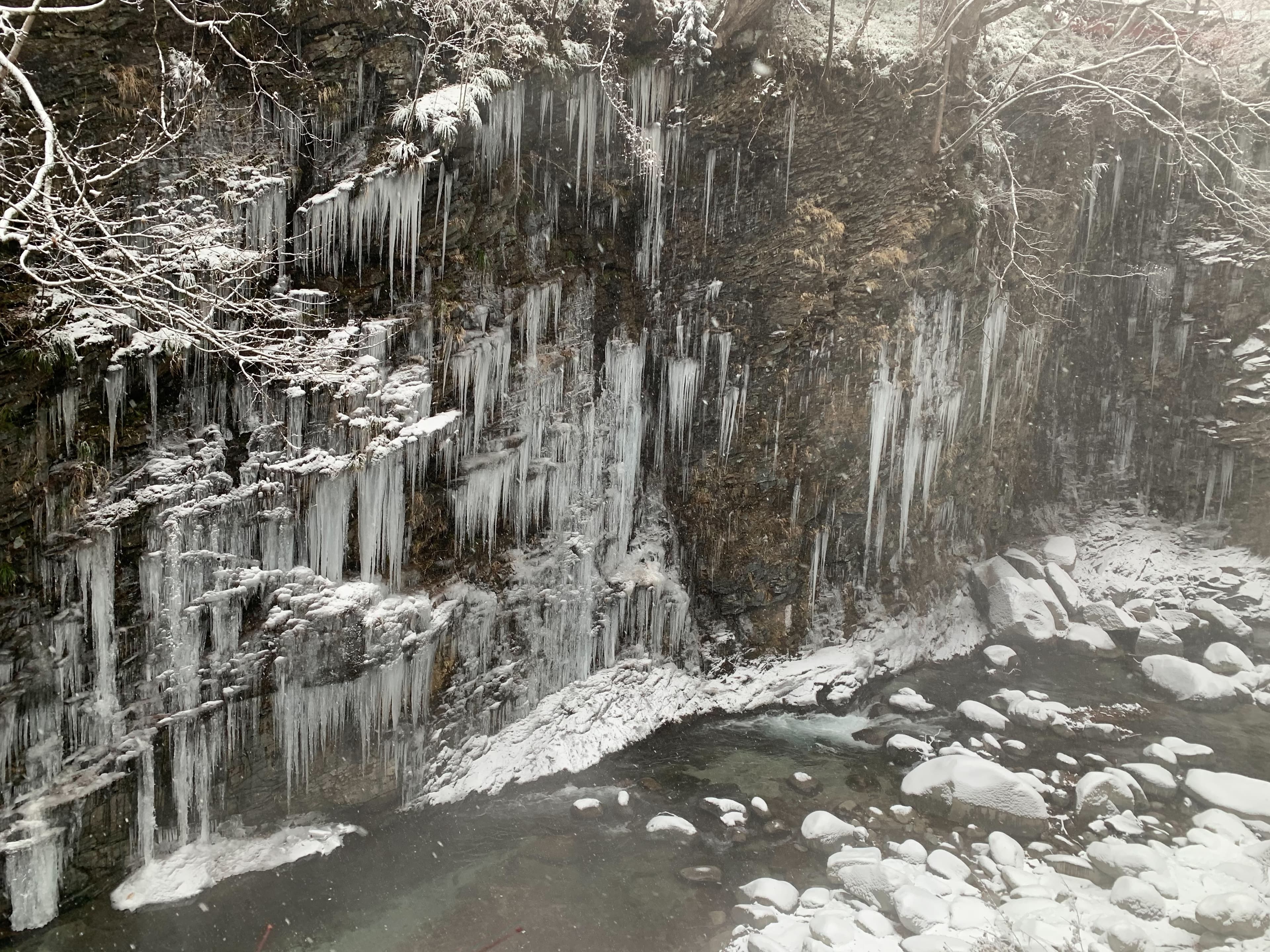 渓谷の岩壁に連なる白龍閣の冬の氷柱